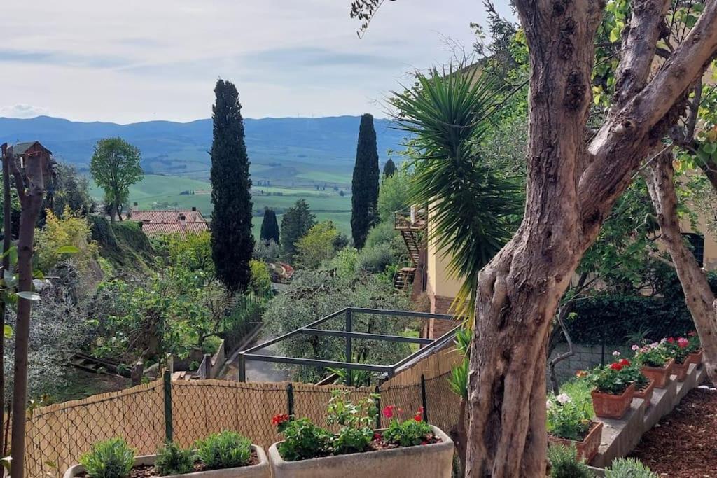 Lajatico Rentals - Casa Di Alice Nel Borgo Bagian luar foto