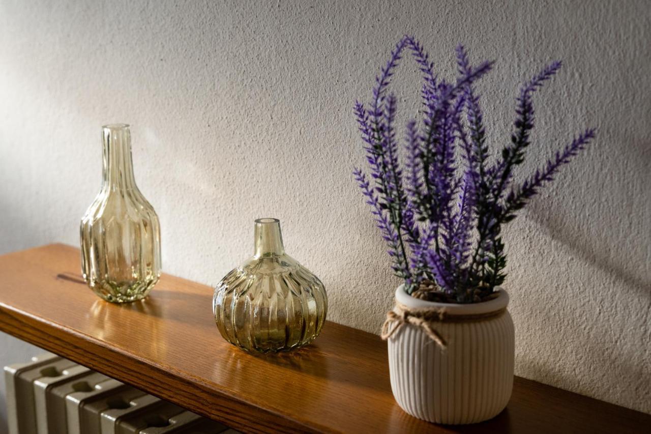 Lajatico Rentals - Casa Di Alice Nel Borgo Bagian luar foto